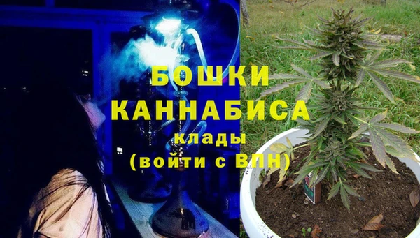 стаф Медвежьегорск