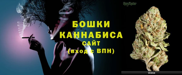 хмурый Мегион