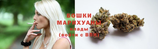 хмурый Мегион